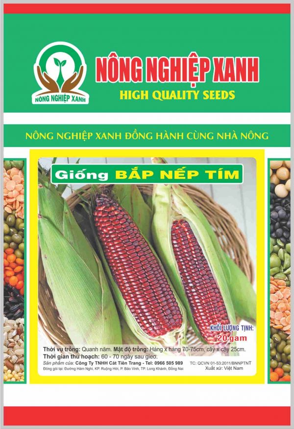 bắp nếp tím